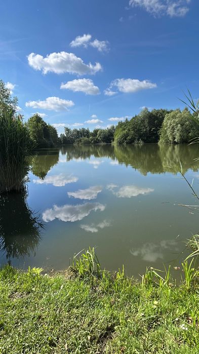 Jedyna taka działka w Oleśnicy – 3371 m² nad stawem | Pierwsza linia brzegowa | Lucień | ul. Stawowa | Bezpośrednio od właściciela - Widok 3