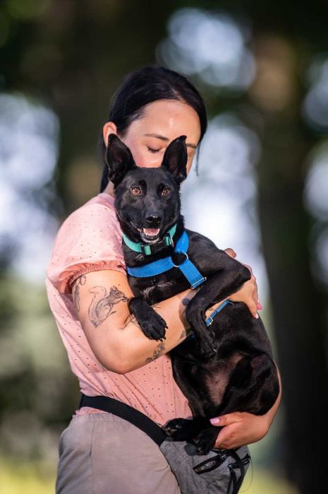 Ratunku dla Koko! Błagamy o dom ADOPCJA