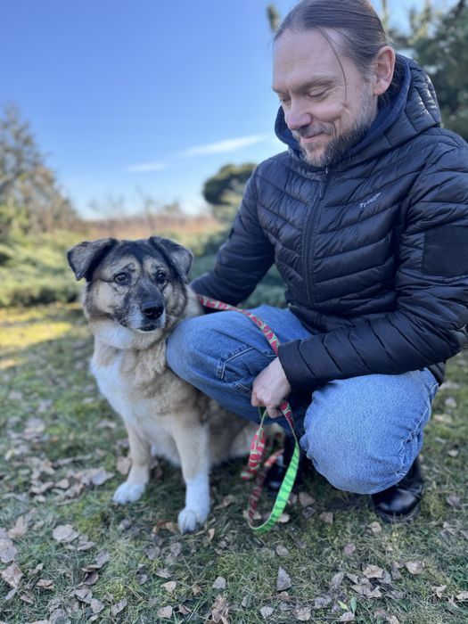 Bajla … tyle straconych lat. Ratunku! Adoptuj