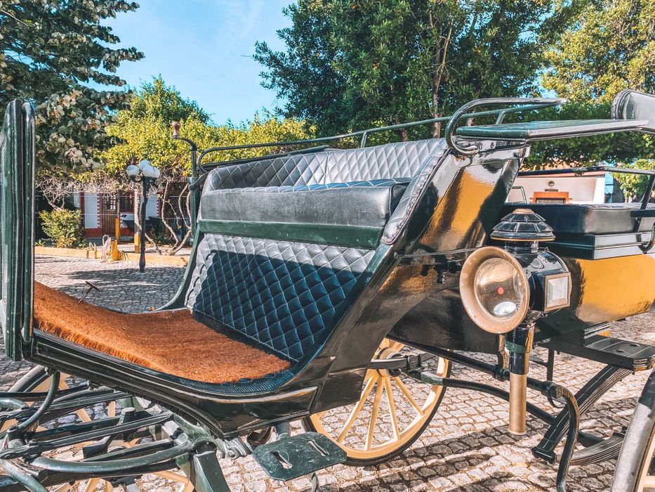 Charrete de cavalos - Break