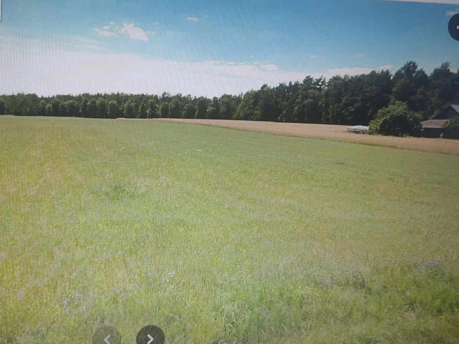 Sprzedam działkę budowlana Swory - Widok 3