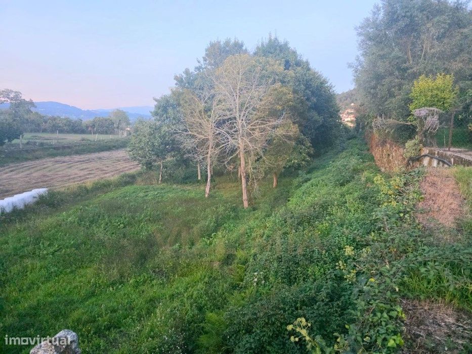 Terreno Agrícola com 3587 m² - S. Martinho da Gandra, Ponte de Lima