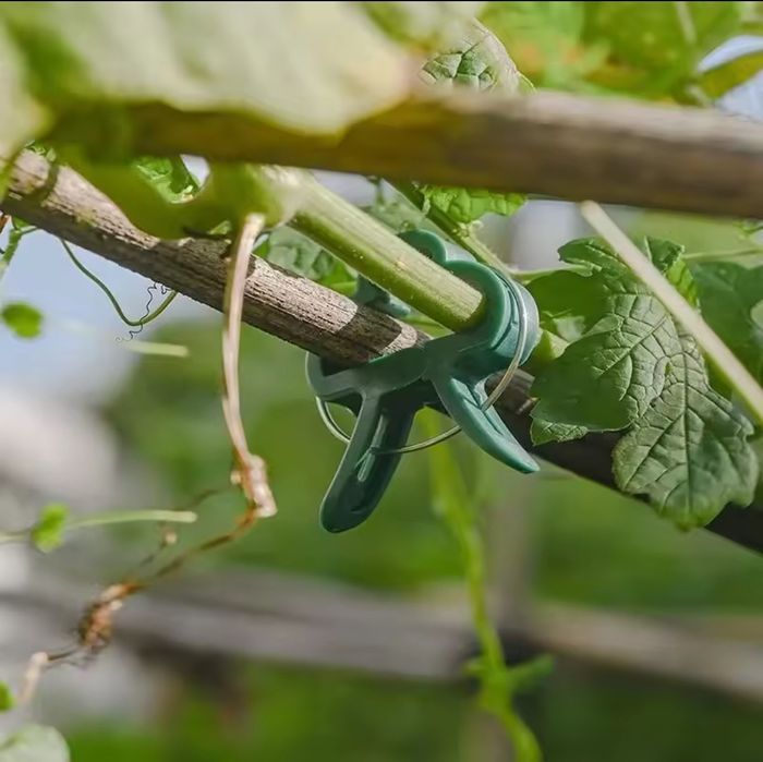 Багаторазові затискачі для рослин