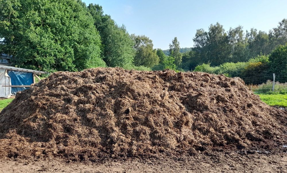 Sprzedam obornik bydlęcy