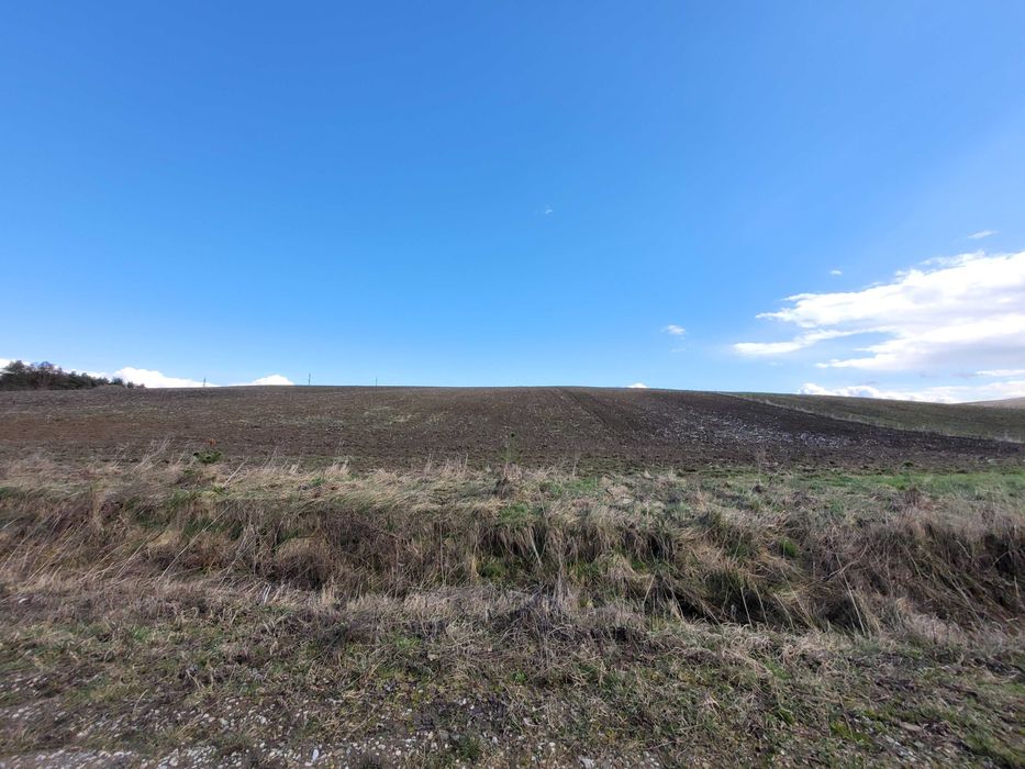 Земельна ділянка 376 сот в Колодіївці