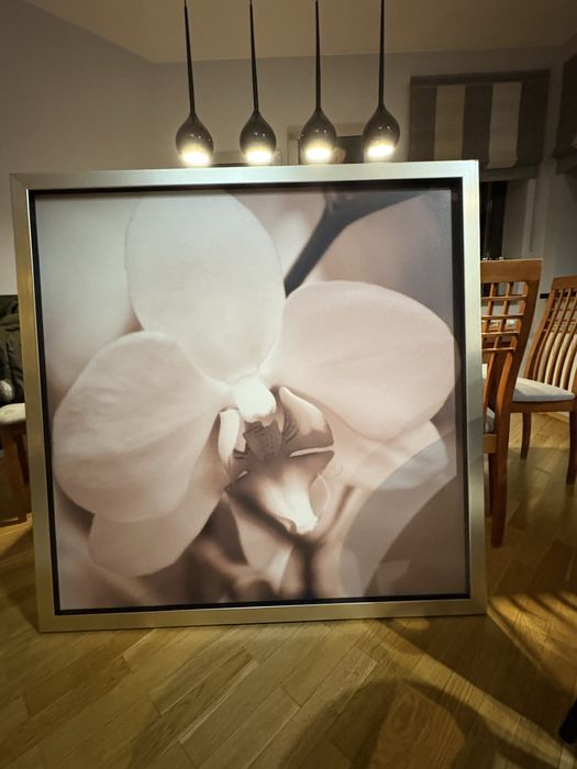 Obraz XL zdjęcie 125x125