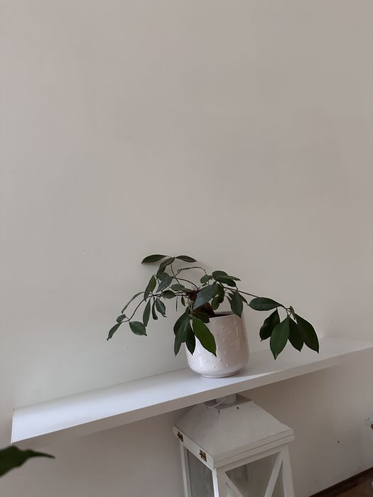Biała półka ścienna wisząca minimalistyczna nowoczesna 80x19x2