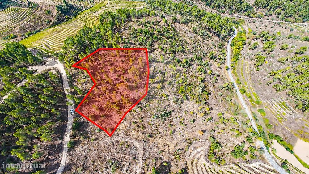 Terreno  para venda