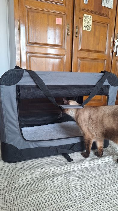 Transportadora Dobrável para Gatos ou Cães Pequenos/Médios – Como Nova