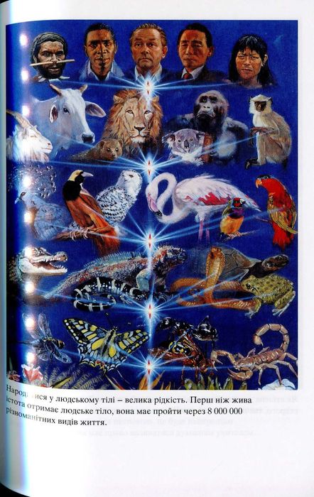 Подорож самопізнання
Бхактіведанта Свамі Прабхупада