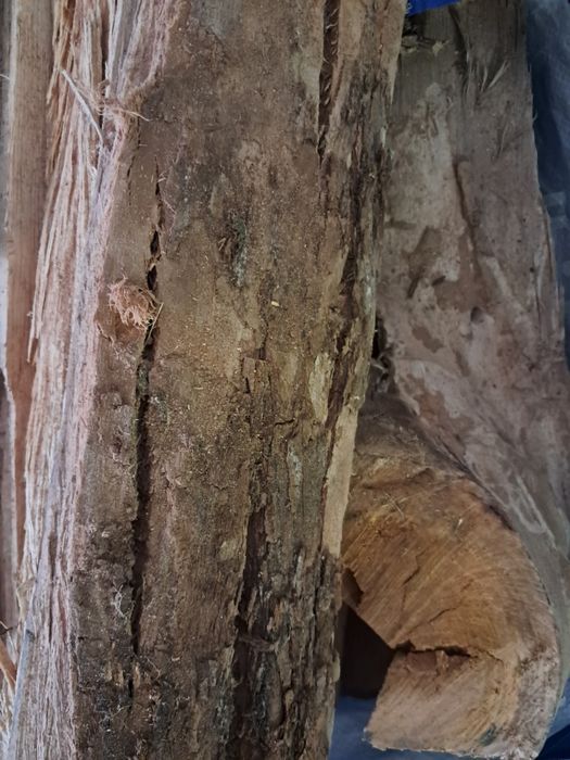 Saco Lenha Eucalipto com 20kg