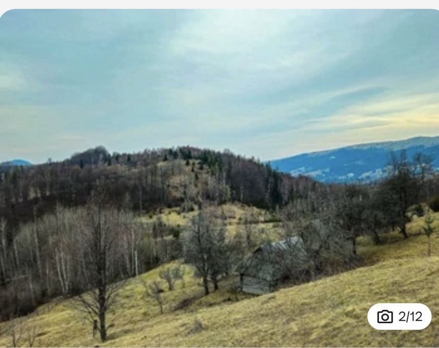 Земельна ділянка участок Плоский-2 , с.Яворів, Косівський р-н