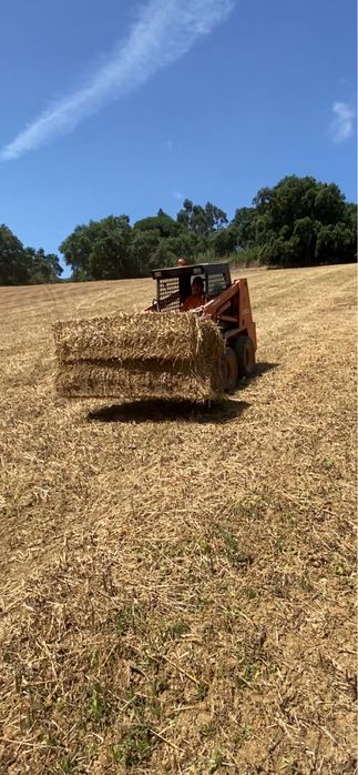 Fardos de feno nascidisso
