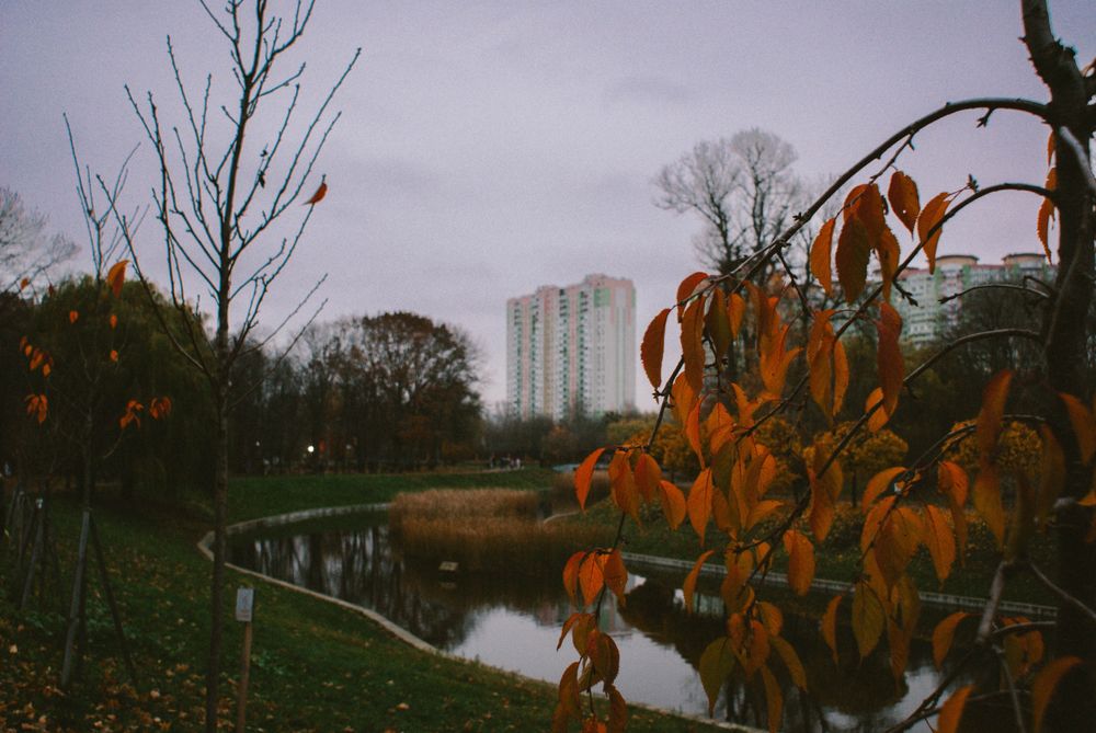 Фотоапарат цифровий Sony a100 Sony alpha 100, цифровой фотоаппарат