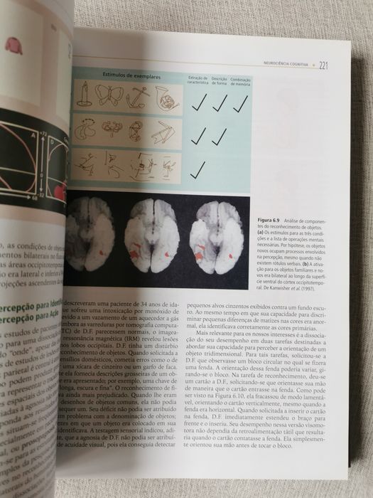 Neurociência Cognitiva