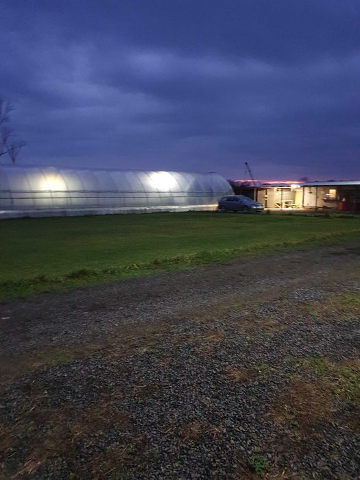 1,3 Га. Мукачево. Рівний. Траса. Є Світло, Вода Теплиці. Під любі цілі