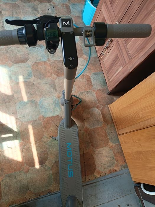 hulajnoga motus scotty 10