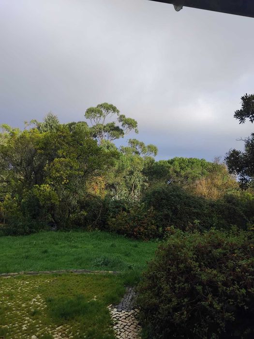 Terrnno rustico, Rustic land for sale ocean view Alcobaca