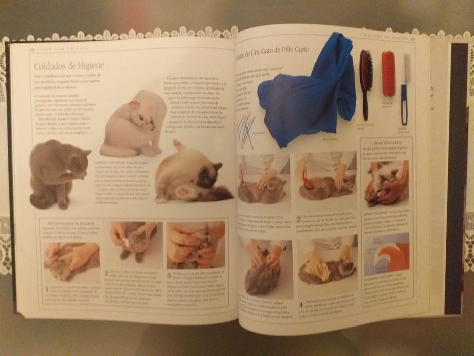 Vários  Livros de GATOS.