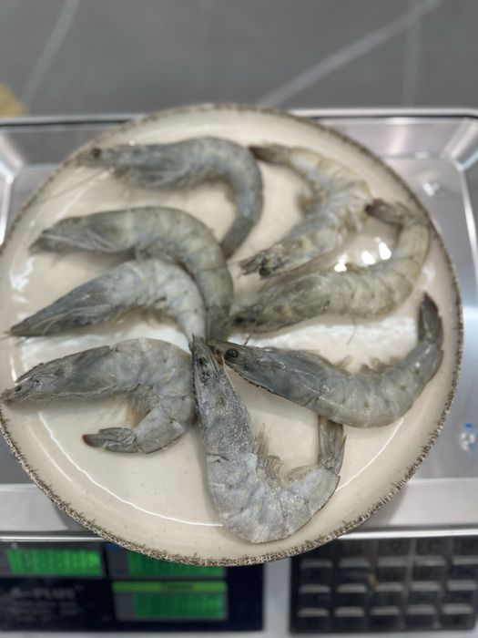 Креветка 30.40 без глазурі