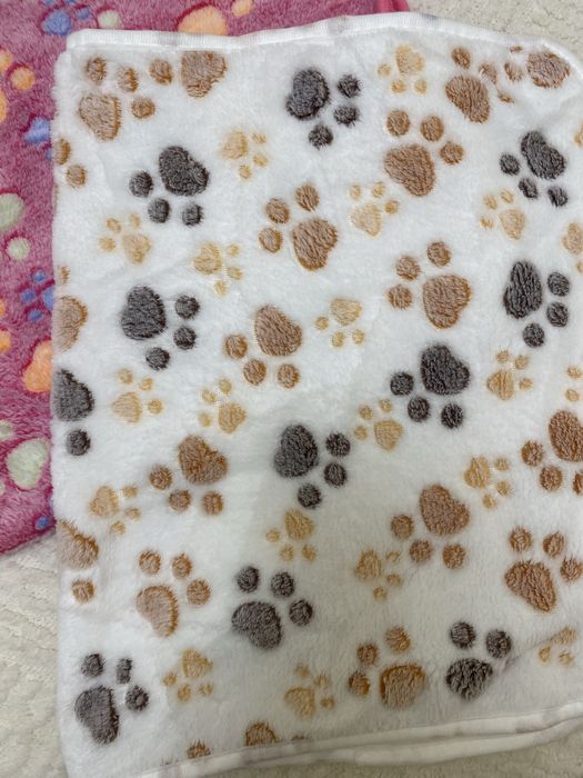 Плед для тварин