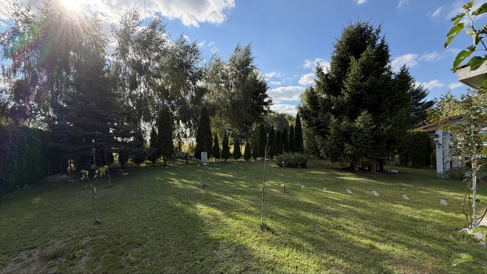 Działka ROD 325 m² – „Słoneczna Polana”