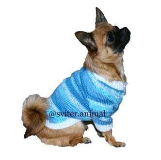Одежда для собаки и котов под заказ. Свитер для сфинкса, собаки