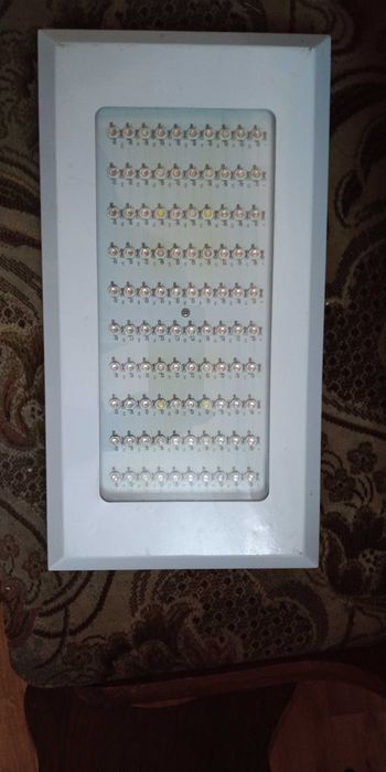 panel LED grow ( blurple / red-heavy) 100x 3W