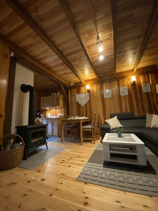 Domki w sam las. Domek Bory Tucholskie nad jeziorem