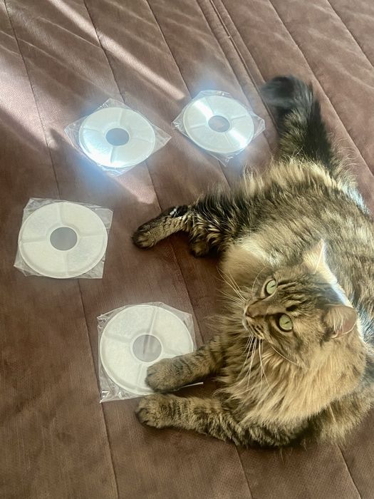 Filtros para fonte de água de gato