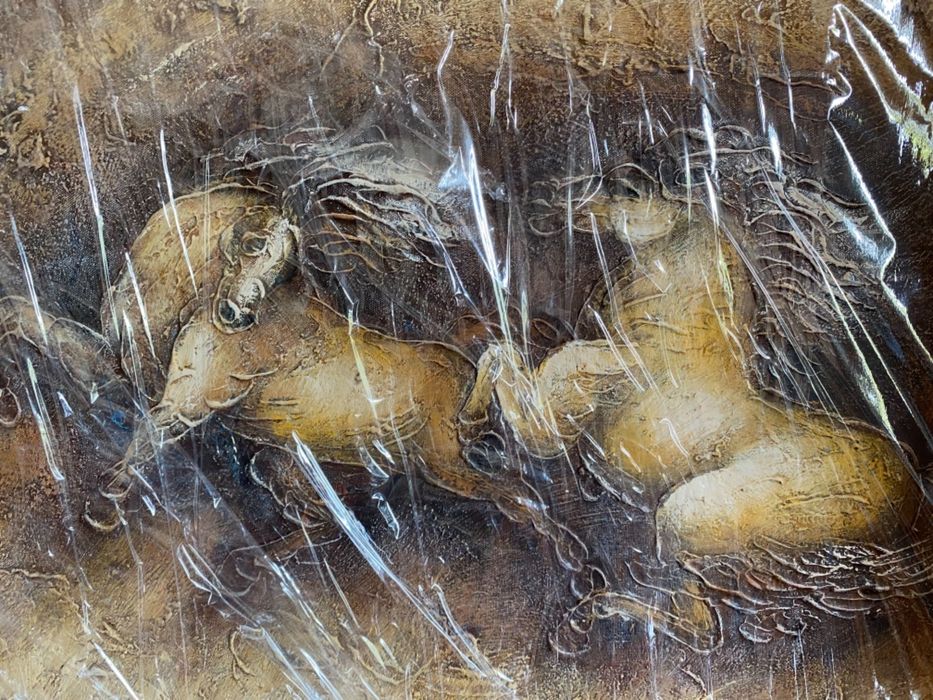 Pinturas e quadros  a preços diversos