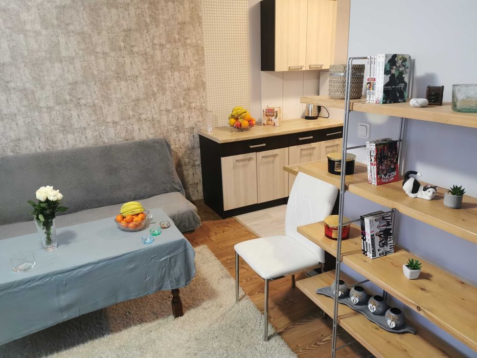 Do wynajęcia kawalerka. Studio flat  for rent