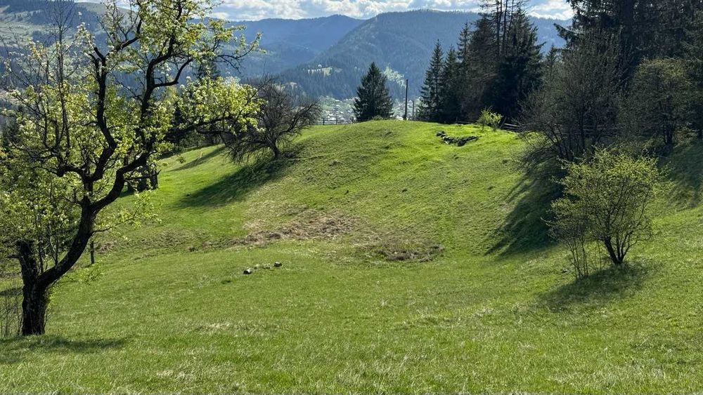 Інвестиція у ваше майбутнє: земельна ділянка у Верховині!