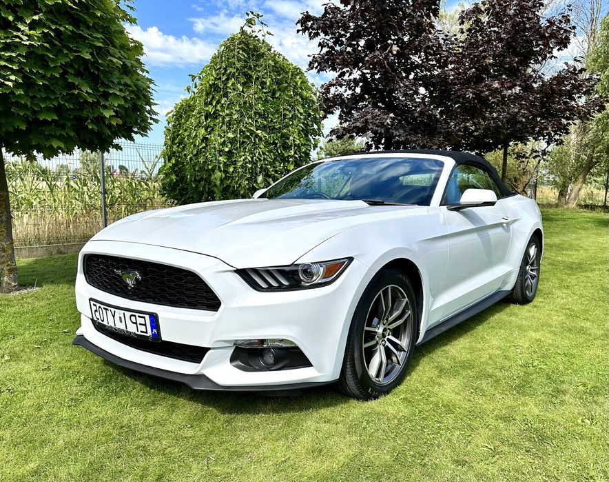 Wynajem aut premium Mercedes Cabrio AMG Audi RS  Mustang wypożyczalnia