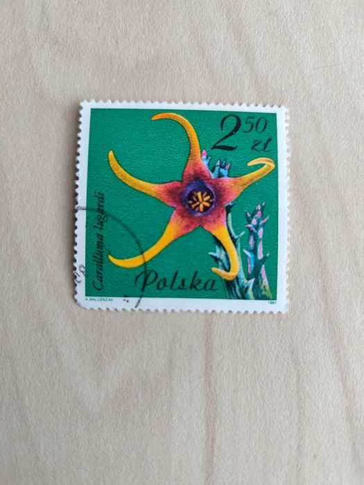 Znaczki polskie 1981: Kwiaty sukulentów – kaktusy, PRL, vintage