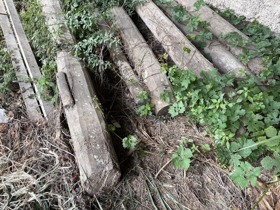 Traves Madres de madeira Castanho antigas