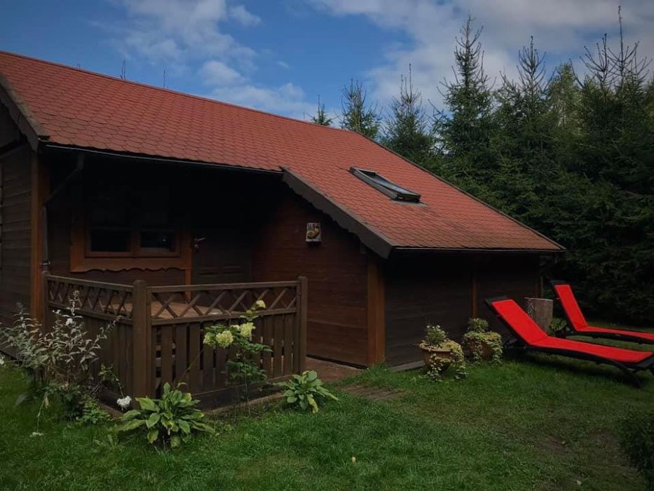 Domki letniskowe  nad stawem   w województwie Warmińsko-Mazurskim