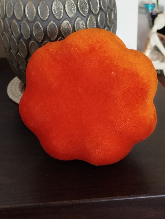 Dynia ozdobna welurowa