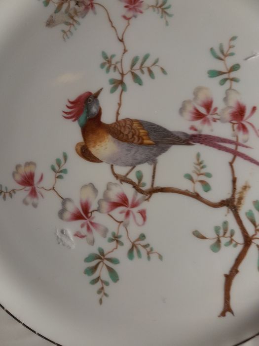 Prato lindo 26.5 cm Vista Alegre