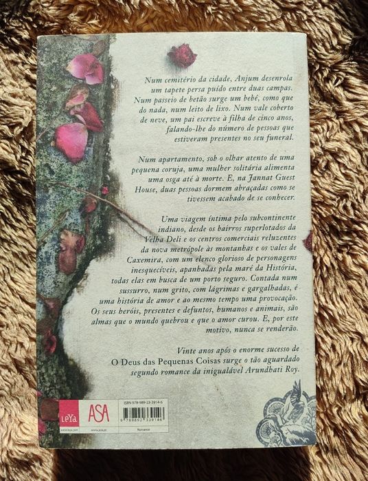 Livro "O ministério da felicidade suprema"