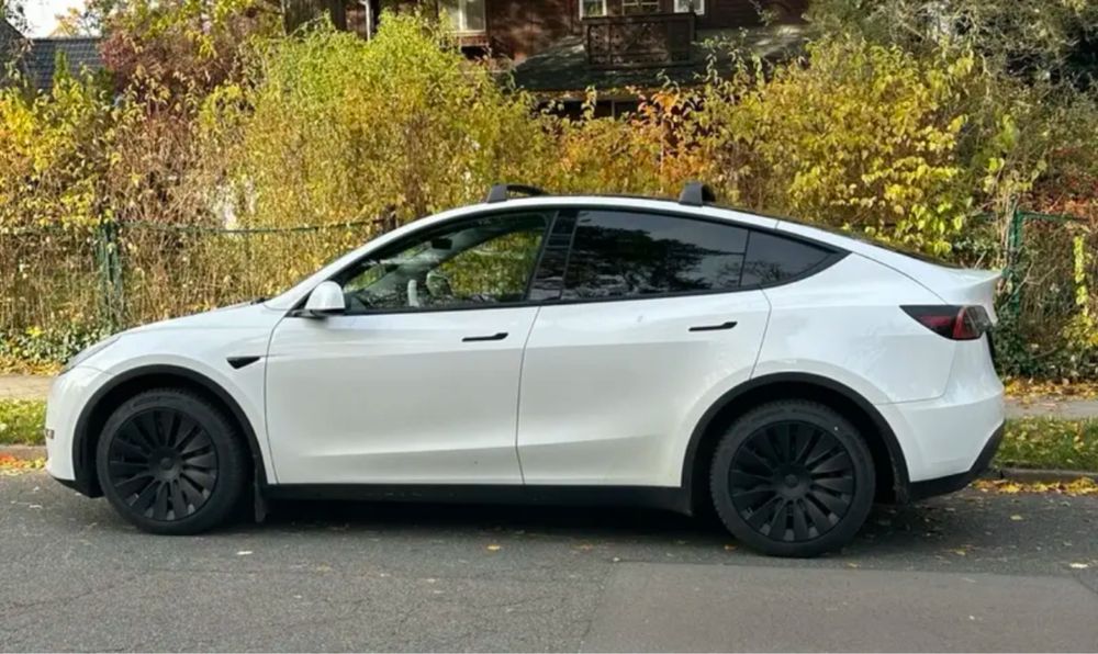 Ковпаки Tesla model Y r19