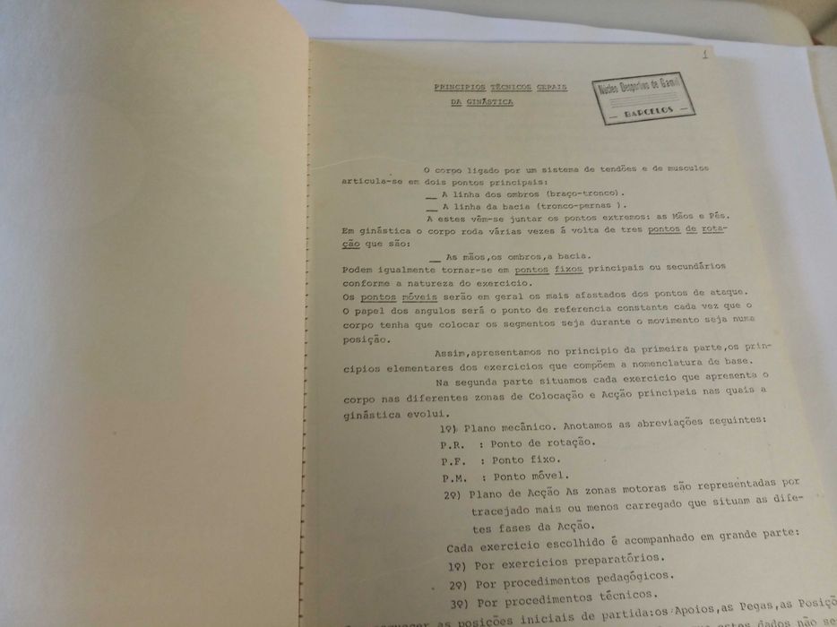 Ginástica Desportiva Masculina 197_