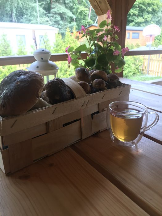 Domek drewniany z tarasem , 6 os. - Kobyla Góra