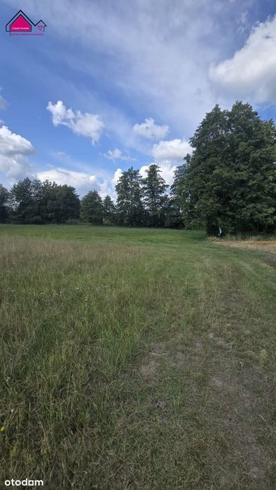 Malownicza działka 1430m² przy stawie, Tręby Stare - Widok 4