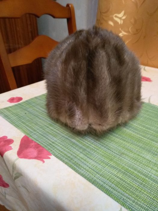 Шапки женские норковые