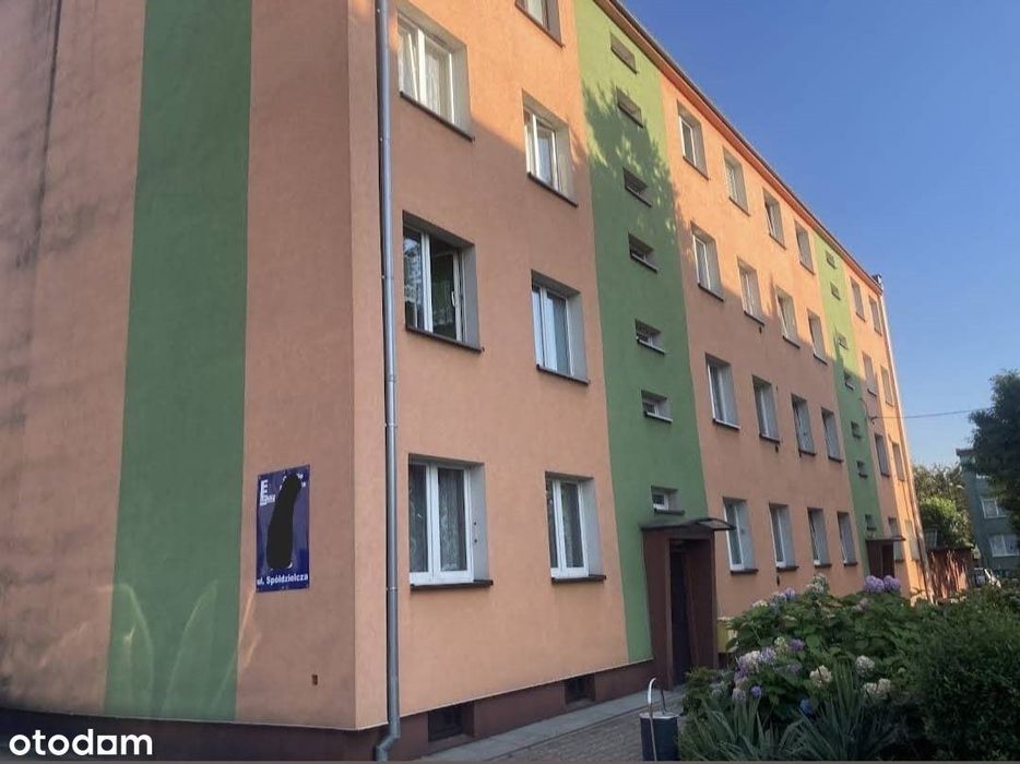 Mieszkanie na sprzedaż, Knurów, 2 pokoje