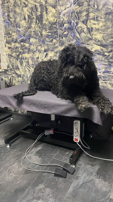 Стіл с електропідьемником для грумінгу,стол электртческий для стрижки