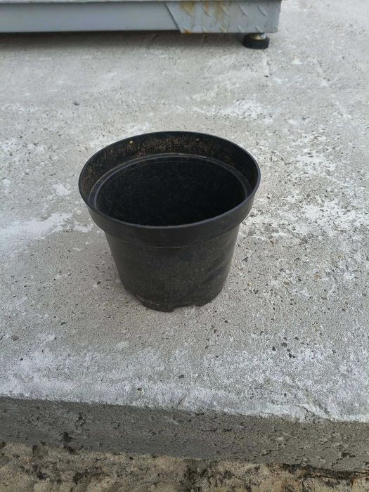 Doniczki plastikowe na sadzonki 1,5L