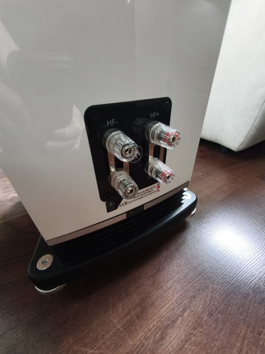 Para kolumn Fyne Audio F501 biały połysk