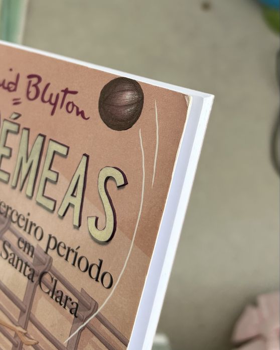 Saga de livros sobre meninas na escola